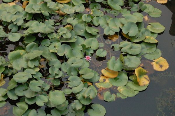 ������������ ��������� ���� �����.